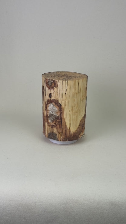 Natur Holzurne - Naturdesign