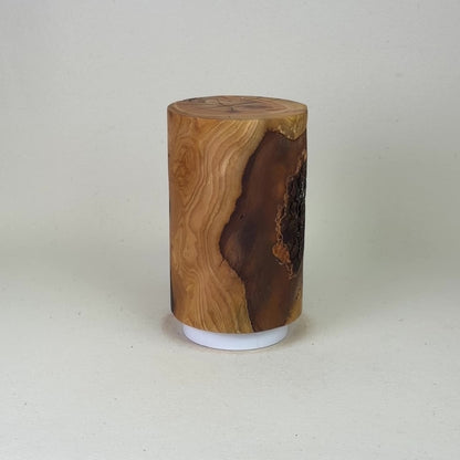 Natur Holzurne - Naturdesign