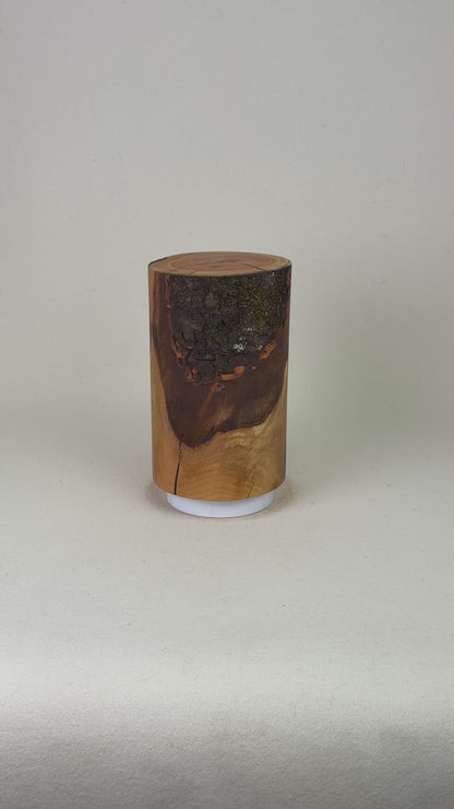 Natur Holzurne - Naturdesign
